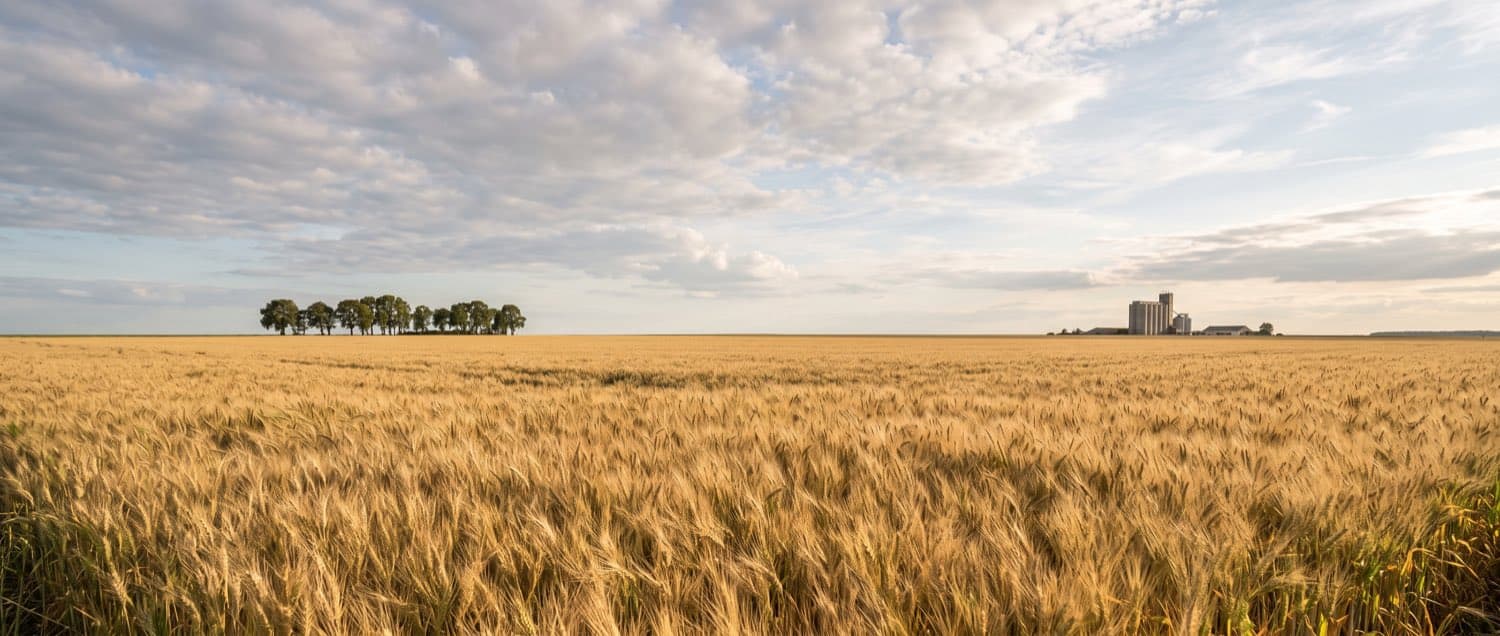 Paysage caractéristique en Eure-et-Loir